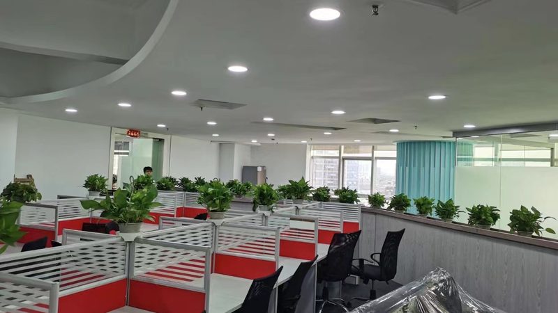 IPO咨询团队：如何优化人员配置比例以提升效率